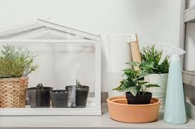 12 Mini Greenhouse Ideas For Your Home
