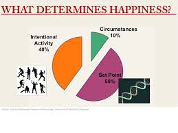 What Determines Happiness