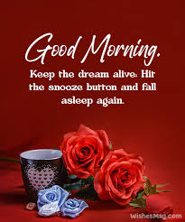 funny good morning messages wishes