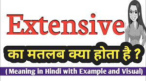 extensive meaning in hindi correct