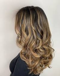 caramel highlights on brown hair