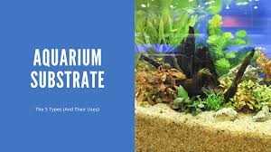All About Aquarium Substrates The 5