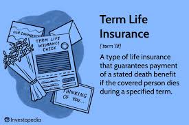 term life insurance what it is