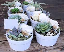 These diy terrarium wedding favors are simple but stylish living table decorations and favor gifts, perfect for a wedding. Wedding Favor Succulent And Sola Flower Arrangement Place Card Holde Curiousfloral