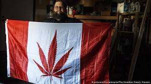 Should you taper off weed or quit cold turkey? Global Marijuana Use Rose By 60 Percent Over The Past Decade Science In Depth Reporting On Science And Technology Dw 26 06 2019