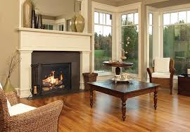 Looking For The Perfect Gas Fireplace