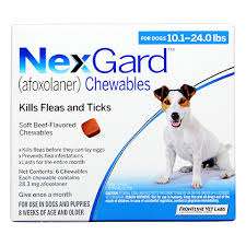 Nexgard Chewables 12pk 10 1 24 Lbs