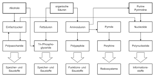 File Relationship Chart Biomolecules German Svg Wikimedia