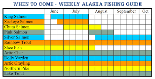 Alaska Guided Fishing Vacation Alaska Rainbow Lodge