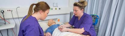 Nursing professionals that pursue a ph.d. Nursing Ph D M Phil Swansea University