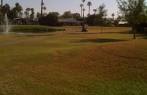 Date Palm Country Club in Cathedral City, California, USA | GolfPass