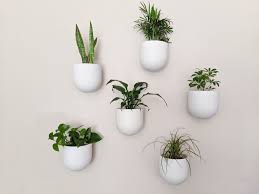 30 Diy Wall Planter Ideas To Show Off