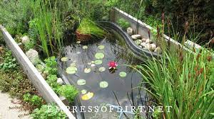Build A Pond In A Raised Garden Bed
