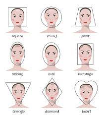 makeup face shapes diagram quizlet