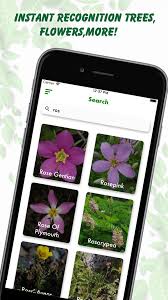 Leafsnap uk is originally developed by researchers from columbia university, the. Plant Identification Lite App For Iphone Free Download Plant Identification Lite For Iphone Ipad At Apppure