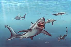 11 facts about megalodon the giant