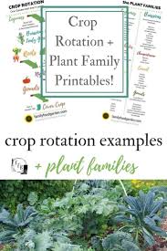 Crop Rotation Examples And Plant Families Family Food Garden