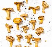 Why should you never wash mushrooms?