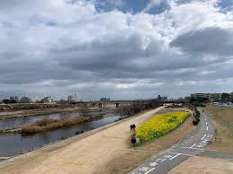 武庫川河川敷で「第4回武庫川甲子園口ハーフマラソン」があるみたい | 西宮つーしん さん