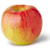 Apple Varieties Of New York State Ny Apple Association