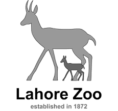A short visit to Lahore Zoo   Non Wheels Discussions   PakWheels     MOST nezavisnih lista lahore zoo eagle