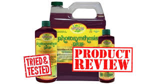 Photosynthesis Plus Product Review Youtube