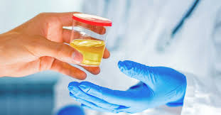 10 Panel Drug Test Screened Substances Detection Times
