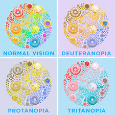 color blindness 101 causes types