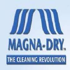 magna dry carpet and upholstery