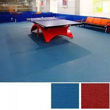 table tennis court floor bk series