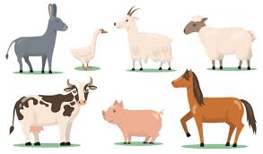 We did not find results for: Premium Vector Vintage Farm Animals Farming Illustration In Hand Drawn Style Animal Farming Sketch Drawing Chicke