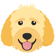 personalized goldendoodle gifts yappy