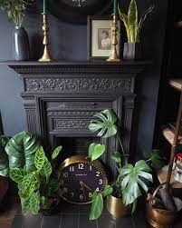 Cast Iron Fireplace Styling With Plants