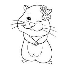 Hamster coloring pages are a fun way for kids of all ages to develop creativity, focus, motor skills and color recognition. Top 25 Free Printable Hamster Coloring Pages Online Animal Coloring Pages Bear Coloring Pages Squirrel Coloring Page