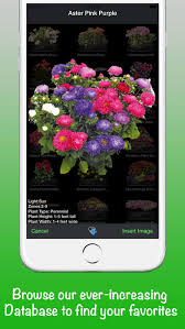 Best Garden Planning Apps In 2023