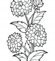For example, the complementary colors are the colors on the opposite sides of the color wheel. Top Marigold Coloring Pages For Your Little Ones Coloring Pages