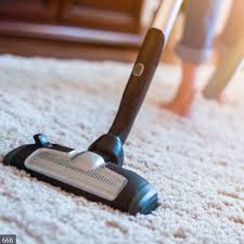 top 10 best carpet cleaning near fl fl