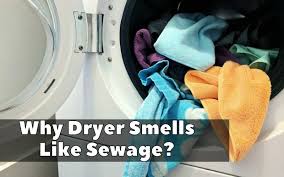 Why Dryer Smells Like Sewage Diy
