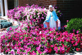 Create A Garden For Our Mother Catholictt