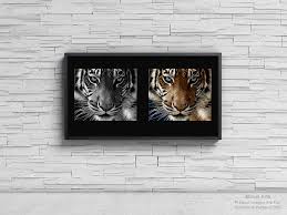 painting by numbers kits for s tiger