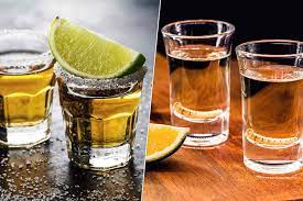 tequila vs mezcal what s the difference