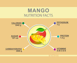 mango nutrition facts vector art