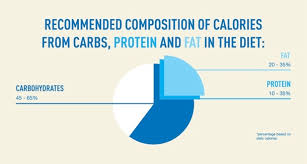 nutrition 101 calories