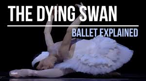 the dying swan ballet explained you