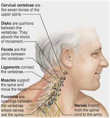 However, for some people, pain in this area is chronic. Neck Pain Samarpan Physiotherapy Clinic Ahmedabad