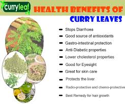 Image result for curry leaves benefits