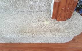 bleach stain repair maryland carpet