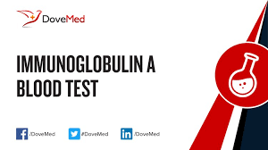 Immunoglobulin A Iga Blood Test