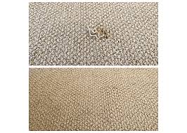 phoenix carpet repair cleaning in