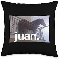 Oct 30, 2020 · on october 24th, youtuber lessons in meme culture uploaded a video detailing the history of juan the horse, garnering over 228,000 views in 6 days (shown below, left). Amazon Com Horse Memes Juan Horse On Balcony Meme Throw Pillow 16x16 Multicolor Home Kitchen